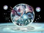   Dareen552