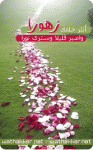   ღ ٱڵۆ  ღ